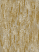 Beetle Wood Poplar
