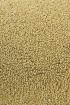 Twinset Loop Uni 21406