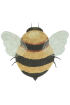 Planet Bee