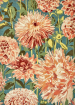 Dahlia Coral Wilderness 142408
