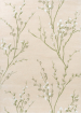 Pussy Willow Hedgerow Green 079807