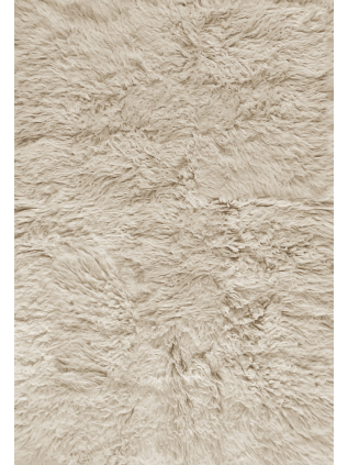 Shaggy Oatmeal